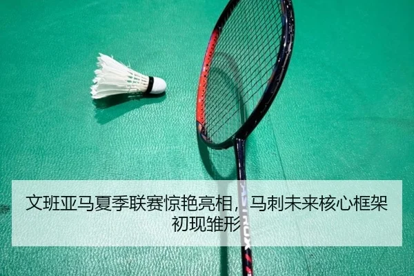 文班亚马夏季联赛惊艳亮相，马刺未来核心框架初现雏形